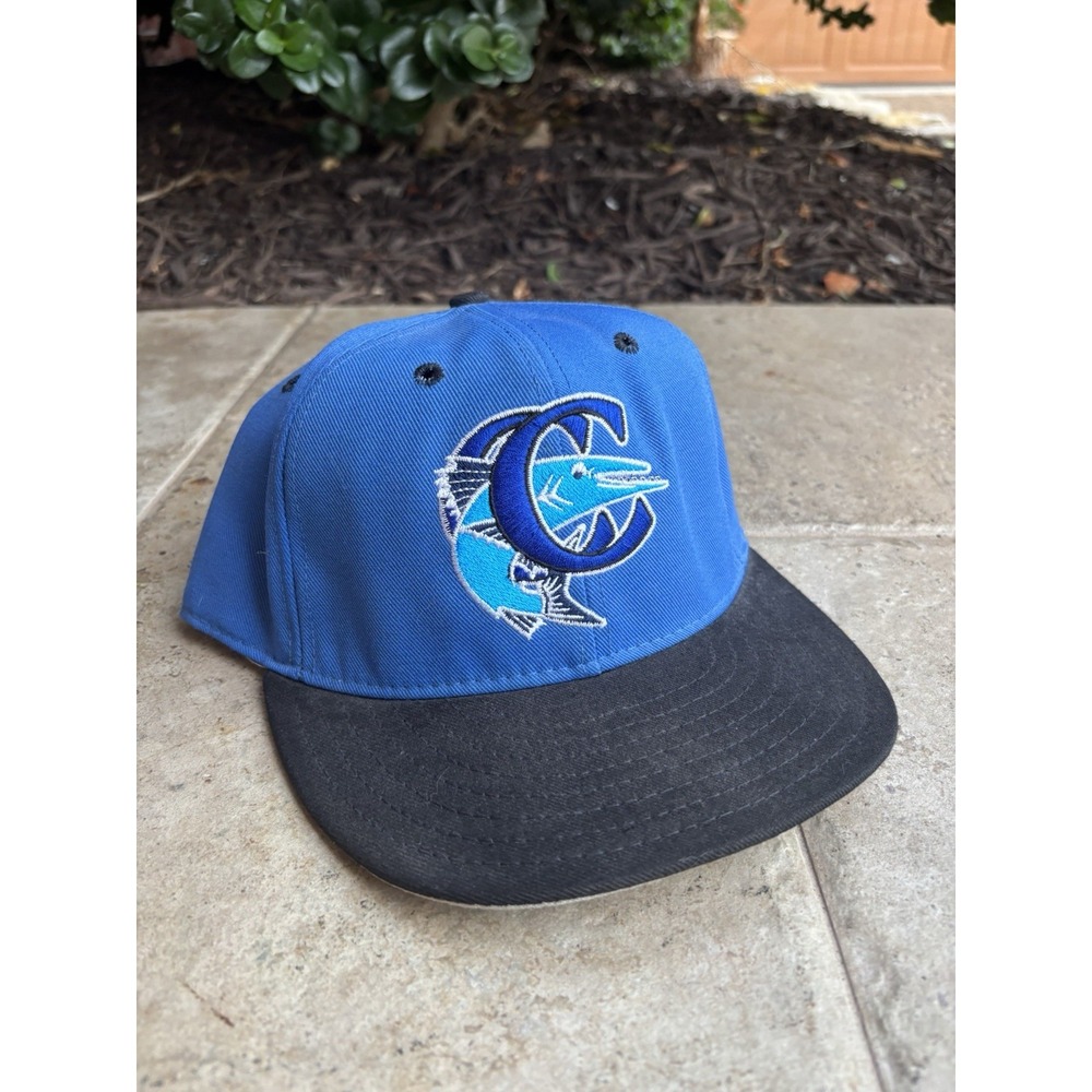 ⭐️Vintage 1994 Corpus Christi Barracudas Pro-Line⭐️7 1/2 Hat MILB MUSA Wool⭐️